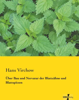 Produktbild von Über Bau und Nervatur der Blattzähne und Blattspitzen