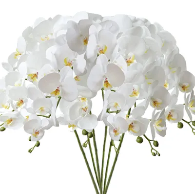 Künstliche Orchideenblüten, 6 Stück, 80 cm, weiß