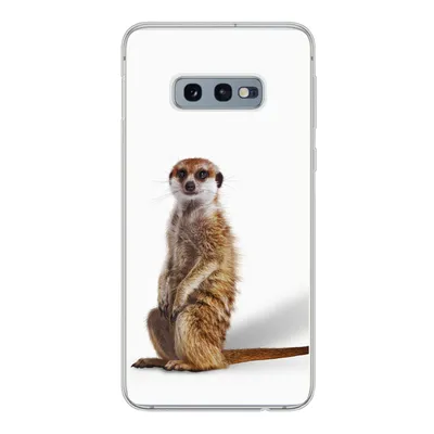 Produktbild von MuchoWow® Handyhülle Schutzhülle Hülle für Samsung Galaxy S10e Erdmännchen - Tiere - Fell Silikon Softcase Handy Hülle - Handy