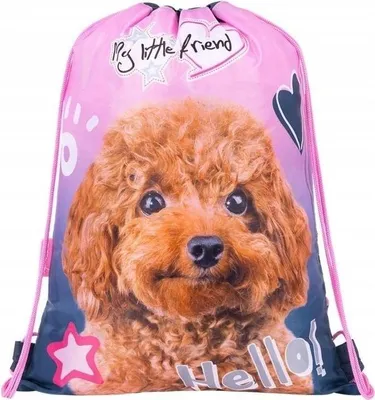 Produktbild von Schuhbeutel mit dem Motiv "Hello Dog"