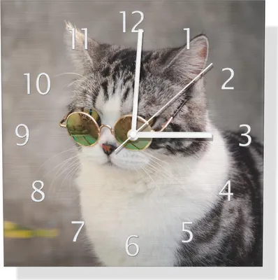 Produktbild von Wallario Design Wanduhr Katze mit Stil aus Aluverbund, Größe 30 x 30 cm