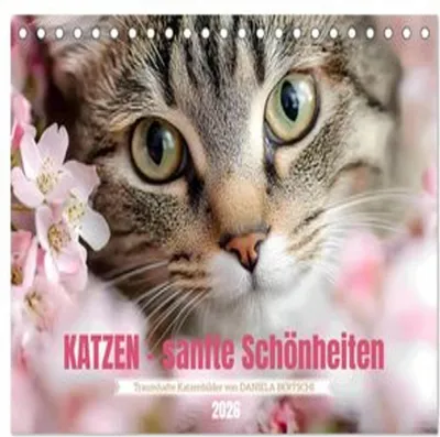 Produktbild von Katzen - sanfte Schönheiten (Tischkalender 2026 DIN A5 quer), CALVENDO Monatskalender