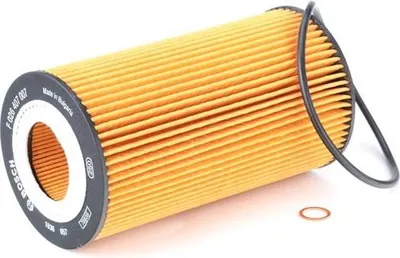 Immagine prodotto di Filtro olio BOSCH F 026 407 007