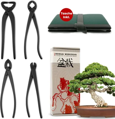 Produktbild von Bonsai Werkzeug-Set Profi 4-teilig aus Stahl mit praktischer Aufbewahrungstasche - Traditionelles Bonsai Werkzeug ideal für Drähte, Äste, Knospen & Wurzeln