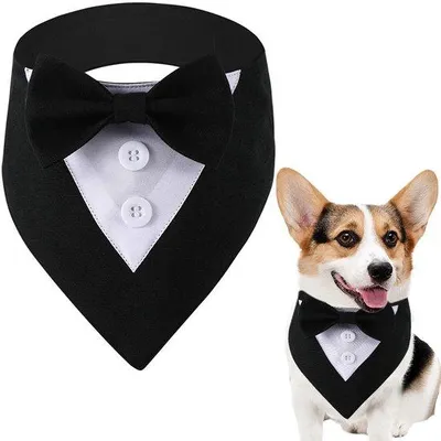 Produktbild von Schwarze Hochzeitsbandana Halsband mit Fliege für Hunde