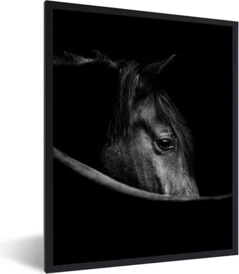 Produktbild von MuchoWow® Gerahmtes Poster Pferde - Porträt - Schwarz - Tiere 60x80 cm - Poster mit Schwarzem Bilderrahmen Wandposter Rahmen Foto Bilder - Premium - Wanddeko Wohnzimmer