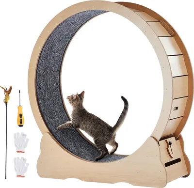 Image de SucceBuy Roue d'exercice en bois pour chats, grand tapis roulant pour chats domestiques de 109,4cm, roue d'exercice pour chats avec tapis amovible et canne à pêche pour chats pour courir/marcher/se former, convient à la plupart des chats,Jaune