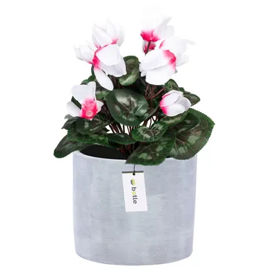 Immagine prodotto di Vaso da fiori Vaso da fiori Colore Grigio Rotondo Ø 16,5 cm H 16 cm Superficie lucida Modern Glamour