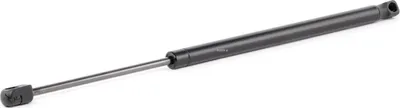 Produktbild von RIDEX 219G0407 Gasfeder Heckklappendämpfer für RENAULT MEGANE III Grandtour (KZ0/1) 482mm