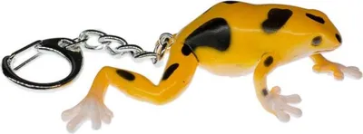 Produktbild von Frosch Schlüsselanhänger Miniblings Anhänger Schlüsselring Giftfrosch Orange