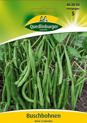 Produktbild von Buschbohne Maxi | Buschbohnensamen von Quedlinburger