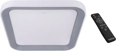 Produktbild von Deckenleuchte Metall LED Dimmer IP44 50,5 cm breit in Silber Weiß 4200 K neutralweißes Licht 3980 lm