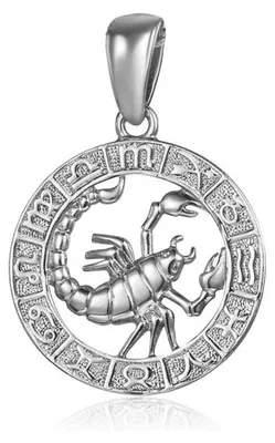 Produktbild von Silver Scorpio pendant SVLP0713XH200SC