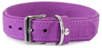 Produktbild von Das Lederband Hundehalsband Boston Violet, Länge: 75 cm