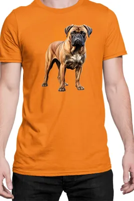 Immagine prodotto di Maglietta da uomo Dogs Breeds Bullmastiff Dog Breed 005, Man M , Orange