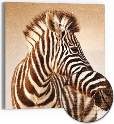 Produktbild von DEQORI Hybrid Leinwand Bild 50x50 cm 'Savannenstreifen' Wandbild Glas flach modern