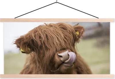 Produktbild von MuchoWow® Textilposter Schottisches Hochlandrind - Braun - Tiere 120x60 cm mit holzfarbenen Rahmen - Klemmleiste