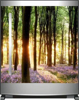 Produktbild von Wallario Sticker / Aufkleber für Kühlschrank / Geschirrspüler / Küchenschränke, selbstklebende Folie - 60 x 60 cm, Motiv: Blaue Hasenglöckchen im Wald mit Sonnenstrahlen