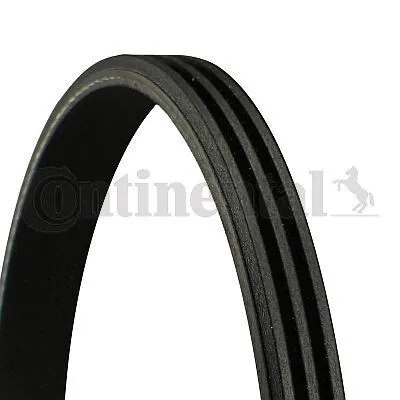 Produktbild von Continental ContiTech 3PK1095 Keilrippenriemen für AUDI A4 B9 Avant (8W5, 8WD) 1095mm