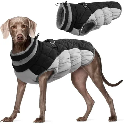 Produktbild von Hundemantel Winterweste Wasserdicht mit Geschirr L Schwarz