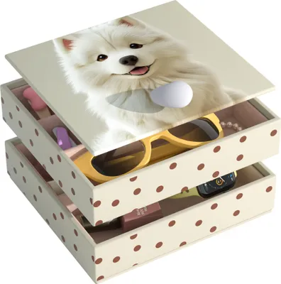 Produktbild von AdelDream Schmuckkästchen Schmuckorganizer Schmuckkasten mit 2 Ebenen Schmuckbox Schmuckgeschenkbox Schmuckaufbewahrung Geschenk für Damen