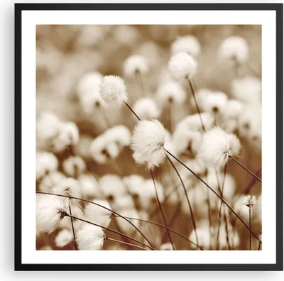 Produktbild von Gerahmtes Poster - Schwarzer Rahmen - Baumwolle Boho Wollig - 60x60 cm - Wand Bild - Wanddeko - Wandbilder - Kunstposter - Wandposter - Bilderrahmen - Bilder - Kunstdruck - P2BAC60x60-4850