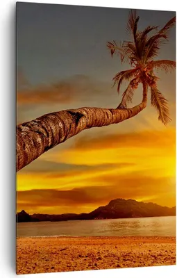 Produktbild von Bild auf Leinwand - Leinwandbild - Einteilig - Palme Landschaft Sonne - 80x120cm - Wand Bild - Wanddeko - Wandbilder - Leinwanddruck - Wanddekoration - Leinwand bilder - Wandbild - PA80x120-0162