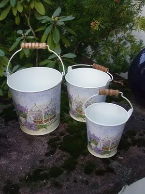 Produktbild von Pflanztopfset Eimer Lavendel Provence (3 Stück) Pflanztöpfe Blumentopf