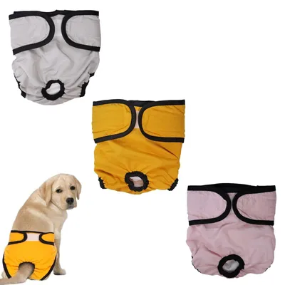 Productafbeelding van Set van 3 Wasbare Hondendroppants voor Dames, XL