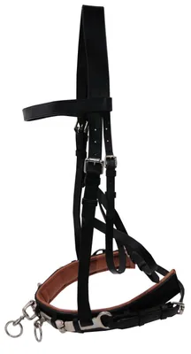 Produktbild von Kappzaum Leder Nasenriemen braun unterlegt Gr. Warmblut