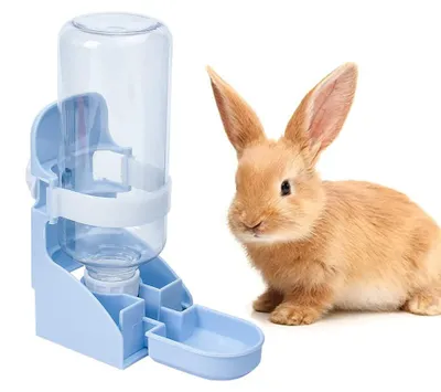 Automatischer Hänge-Wasserspender für Kleintiere, 500 ml, blau