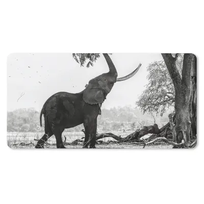 Produktbild von MuchoWow® Mauspad Mousepad Elefant - Baum - Tiere - Schwarz und weiß 60x30 cm - Mousepads - Maus Mat - Pad - Mausunterlage - Nachhaltig
