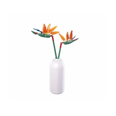 Immagine prodotto di SL95971 - Paradiesvogelblume in vaso