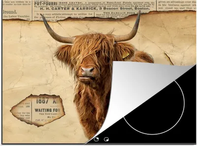 Obrázek produktu pro KitchenYeah® Kryt na sporák Scottish Highlander - Vintage - Cow, 57x51cm, dekorace do kuchyně, keramický kryt varné desky, krycí deska na varnou desku