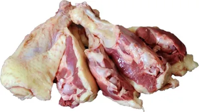 Produktbild von Irische Duckwings - Entenflügel