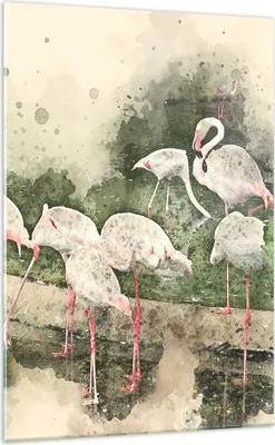 Produktbild von Bilder auf glas - Einteilig - Flamingo Vogel Wasser - 70x100cm - Glasbilder - Wandbilder - Bilder - zum Aufhängen bereit - Wanddekoration aus Glas - Glas Bilder - Wandbild auf Glas - GPA70x100-3462