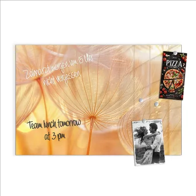 Produktbild von Magnettafel 60x40cm Pinnwand Whiteboard beschreibbar - Dandelion Makroaufnahme