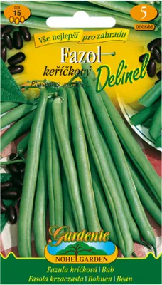 Zdjęcie produktu dla Fasola szparagowa DALINEL, zielona