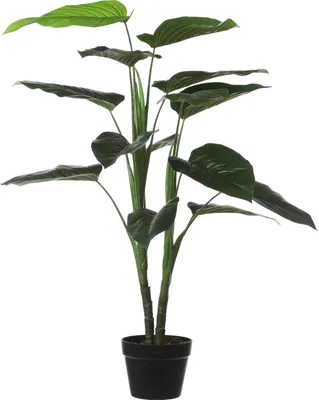 Produktbild von Mica Decorations Philodendron Kunstpflanze - H100 x Ø70 cm - Grün