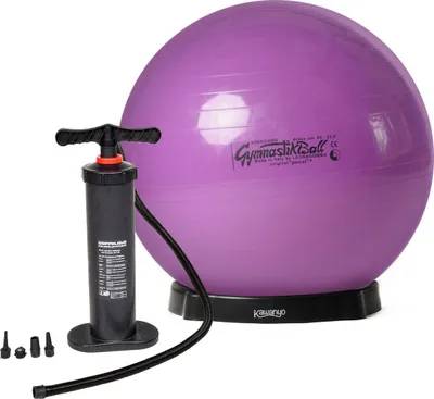 Immagine prodotto di Pezziball STANDARD originale con Standpumpe e Ballschale - viola