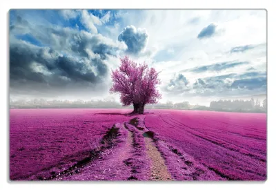 Produktbild von Wallario Frühstücksbrettchen aus Glas 20 x 30 cm mit rutschfesten Füßen, Motiv Surreales Blumenfeld  lila Blumen auf dem Feld