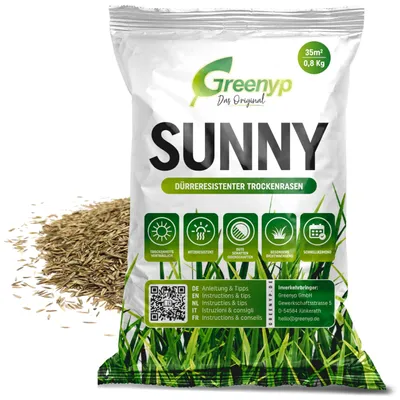 Zdjęcie produktu dla Nasiona trawy do regeneracji - 0,8 kg na 35 m² - Szybko kiełkujące - Odporny na suszę - Gęsto rosnący - Odpowiedni do gleby piaszczystej - Nasiona trawy