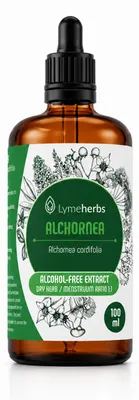 Immagine prodotto di Alchornea Estratto Senza Alcool 1:1 (100ml)