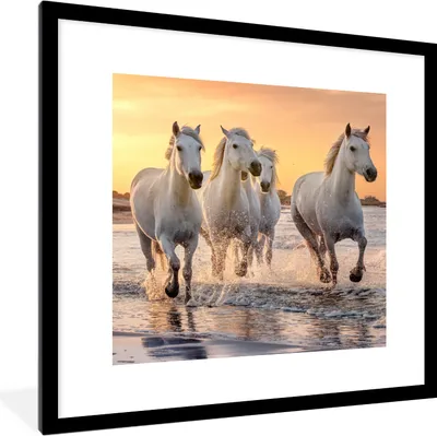 Produktbild von MuchoWow® Gerahmtes Poster Pferde - Sonne - Meer - Strand - Tiere 40x40 cm - Poster mit Schwarzem Bilderrahmen Wandposter Rahmen Foto Bilder - Poster - Plakat im Rahmen