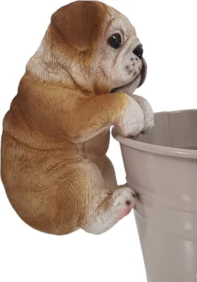 Produktbild von Dekofigur Bulldogge hängend 15 x 9,5 x 7,5 cm braun weiß