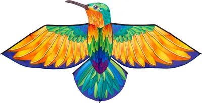 Immagine prodotto di HQ Kids Kite Aquilone per uccelli Single Line Colibrì 175 cm