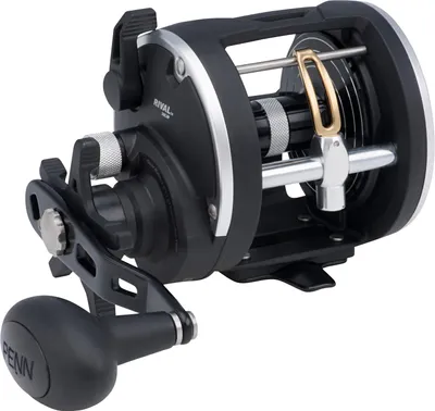 Produktbild von Penn Rival Level Wind Linecounter Reel 30 - Rechtshand Multirolle
