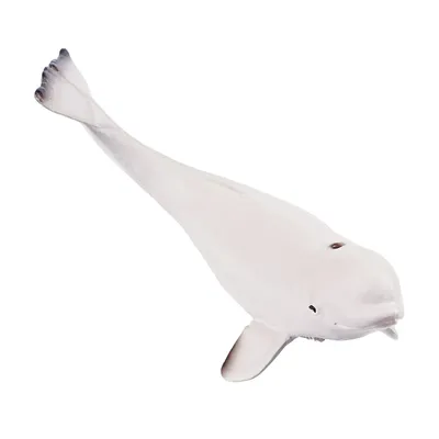 Produktbild von Toymany ML00450 Belugakalb 8,2 cm Wasserwelt