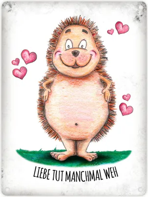 Produktbild von Metallschild mit Igel Motiv und Spruch: Liebe tut manchmal weh Blechschild