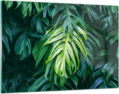 Produktbild von Bilder auf glas - Blume Natur - 120x80cm - Glasbilder - Wandbilder - Bilder - Kunstdruck - zum Aufhängen bereit - Wanddekoration aus Glas - Glas Bilder - Wandbild auf Glas - Einteilig - GAA120x80-3951